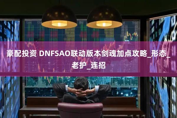 豪配投资 DNFSAO联动版本剑魂加点攻略_形态_老护_连招